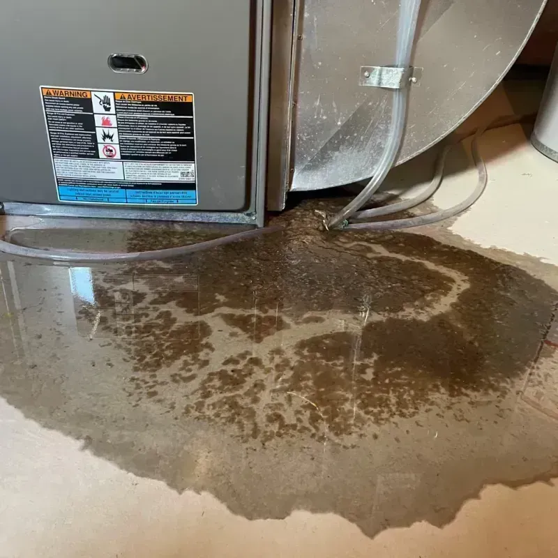 Appliance Leak Cleanup in Tower Lake, IL